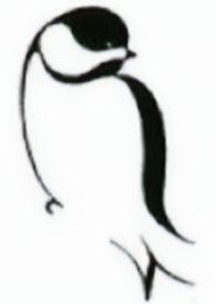 Chickadee_edited_edited.jpg