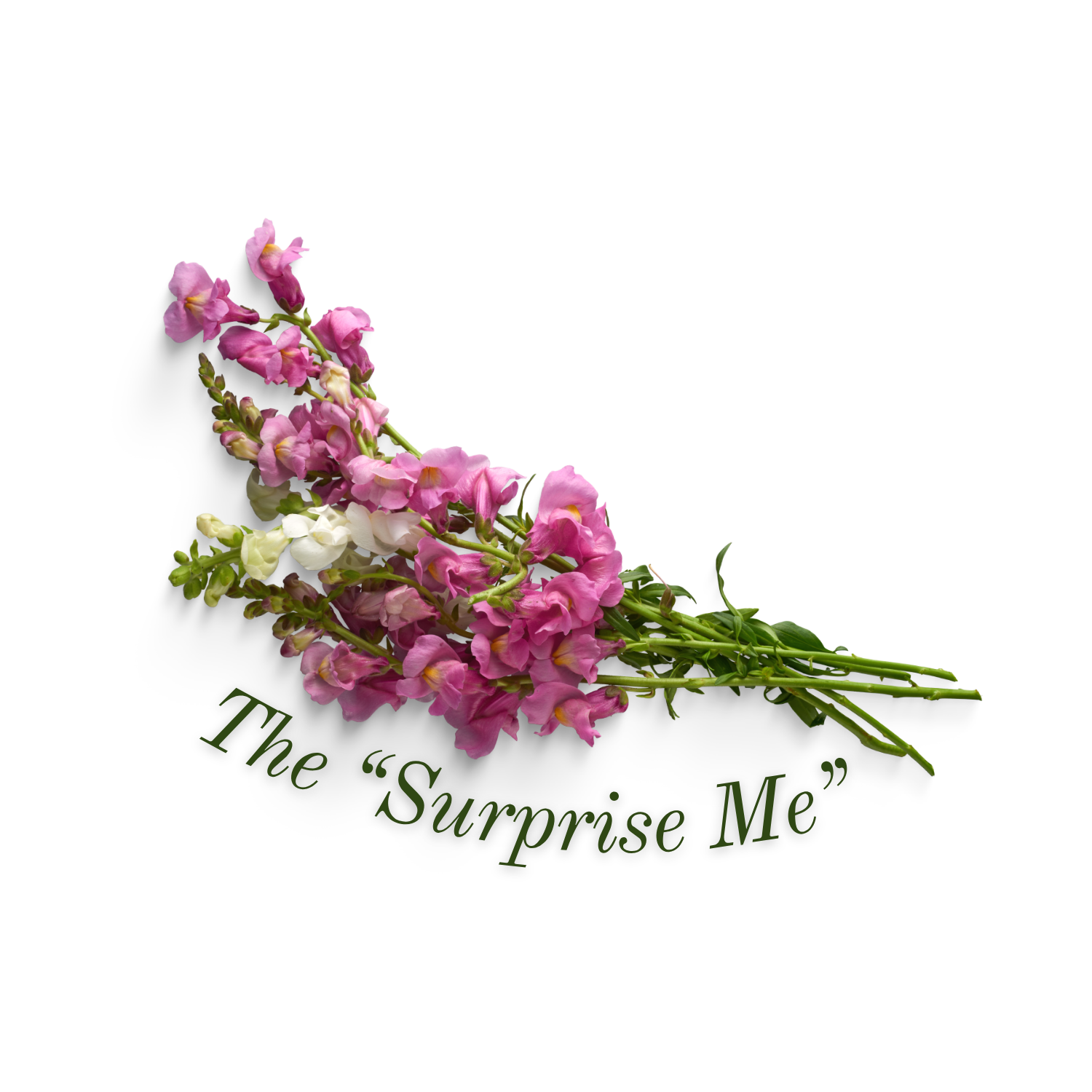 The "Surprise Me" - Medium