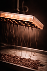 4AB7BC83-09D9-4D28-A4BE-A800E571FA58.PNG
