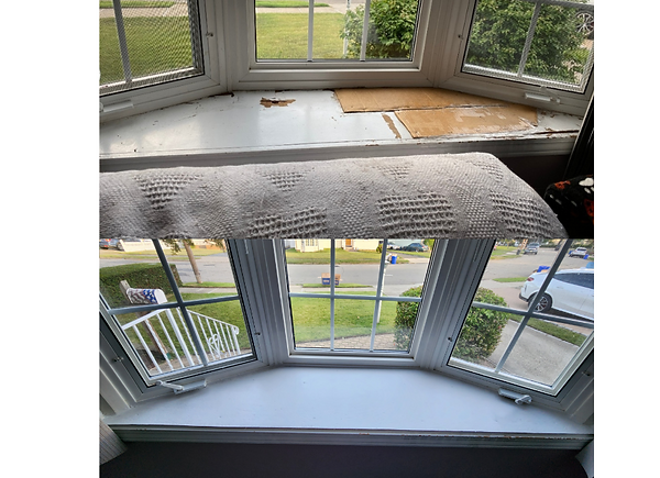 Window Repair