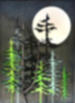 247 Regrowth - 12 x 16 - $375.00