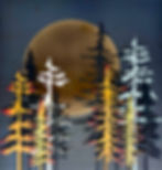 246 Golden Evergreens - 17 x 18 - $450.00