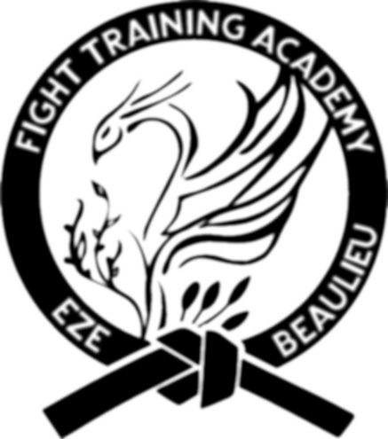 LOGO FIGHT TRAINING ACADEMY VECT.png
