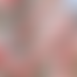 メンバーシップ2月