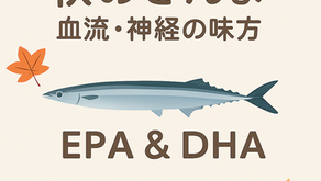 さんまの栄養