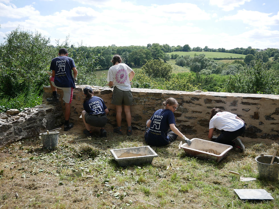 Chantier de bénévoles - Château de la Turmelière