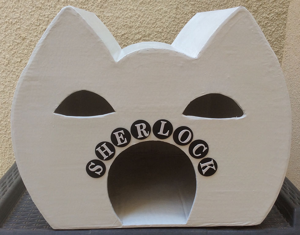 Niche en carton