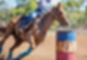 barrel racing horse training minnesota.jpg