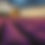 Thumbnail: scented candle - pure lavender