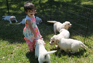 IMG_0039.jpg