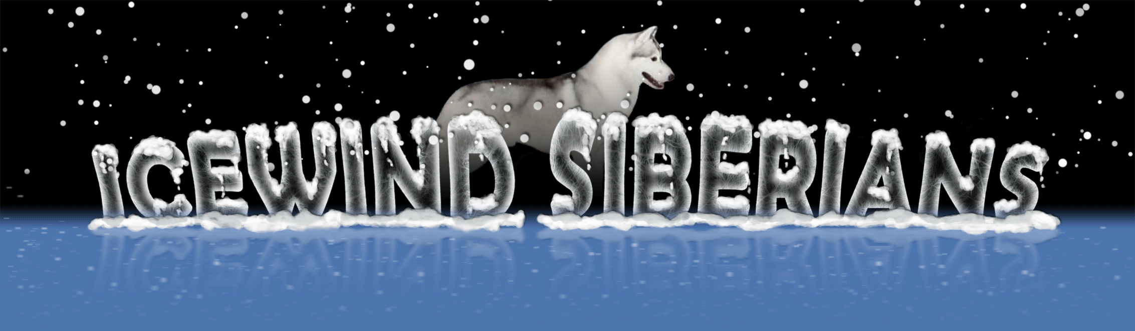 Working-Icewind-logo-smaller-top-fade-co