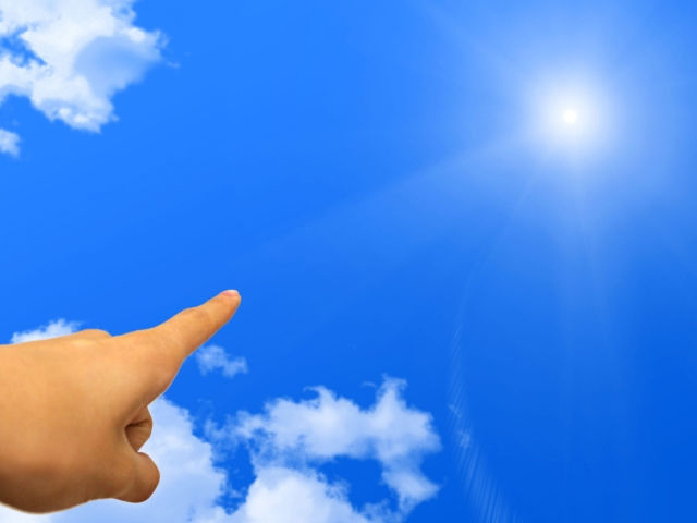 ree