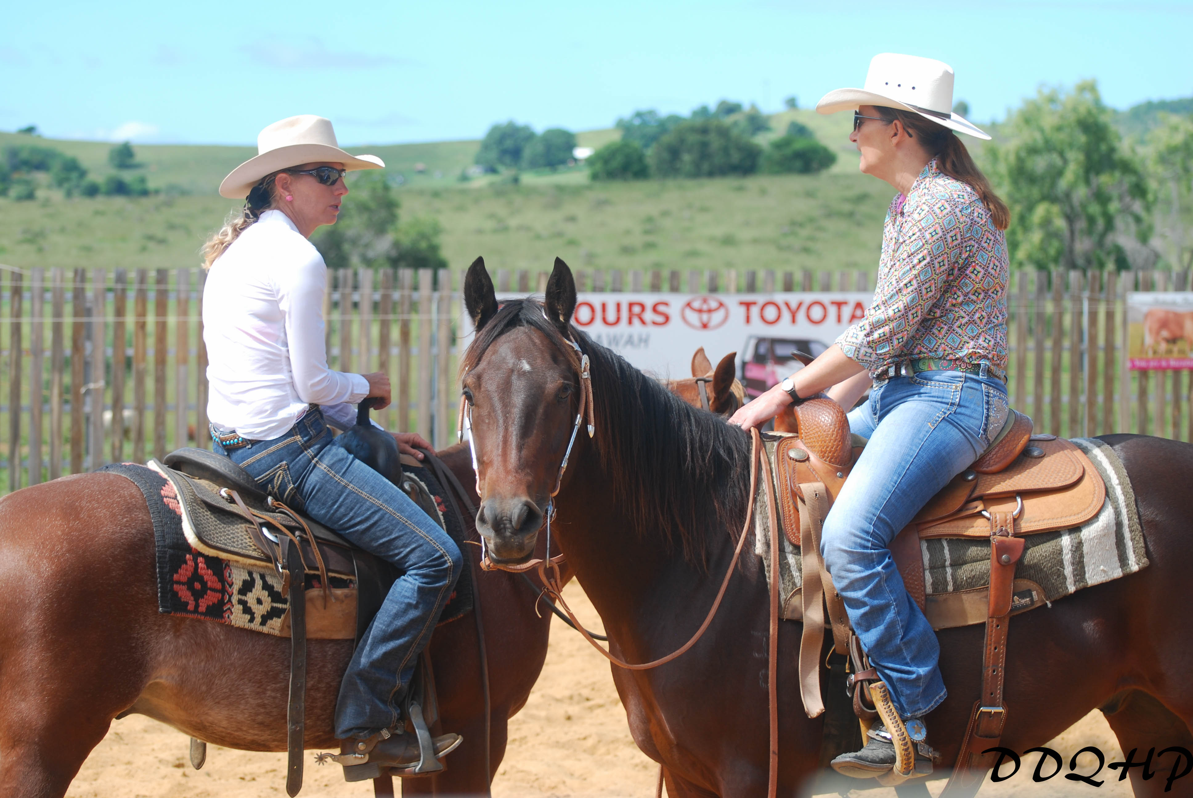 Cutting Horse Trainer Queensland JR Cutting & Performance Horses