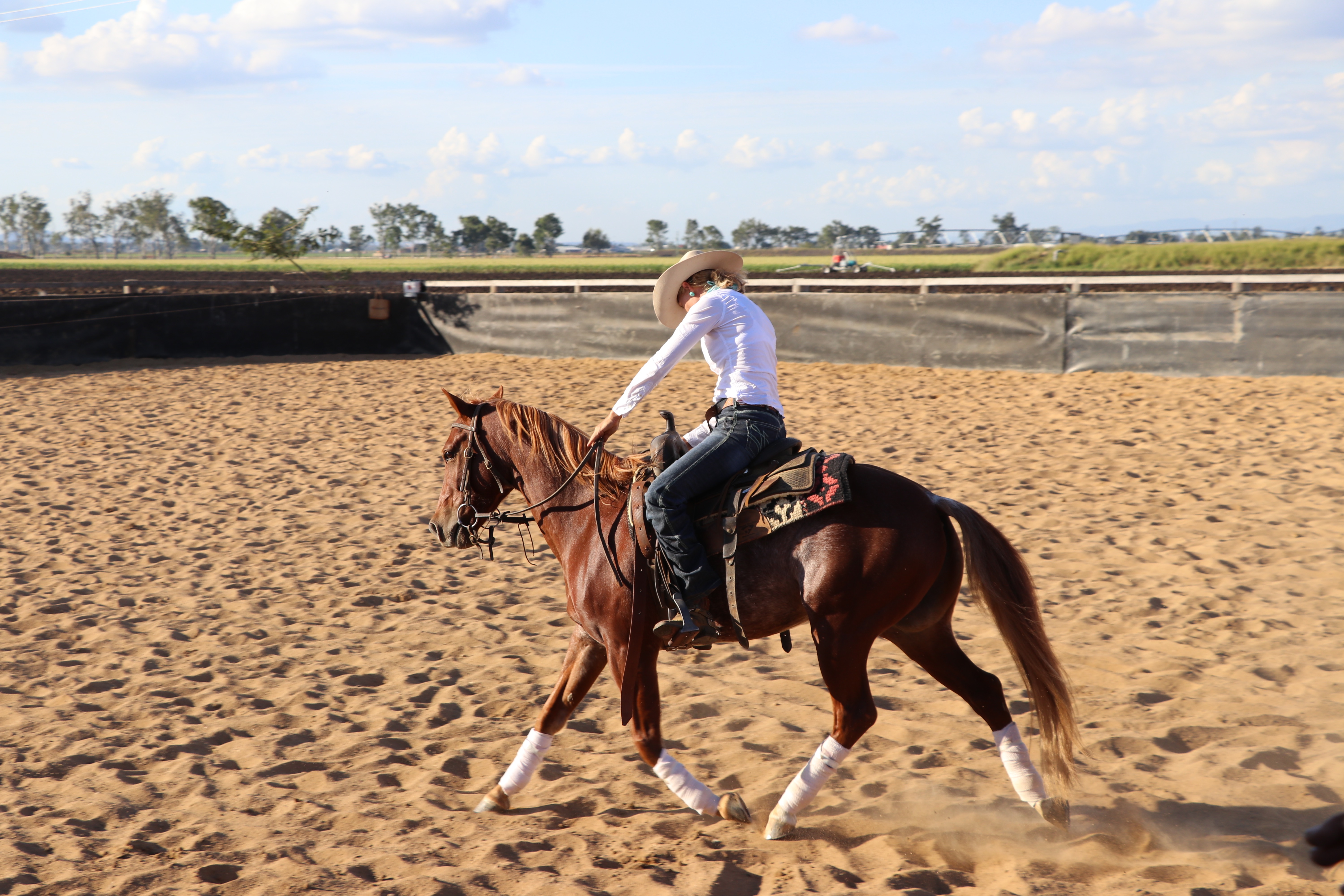 Cutting Horse Trainer Queensland JR Cutting & Performance Horses