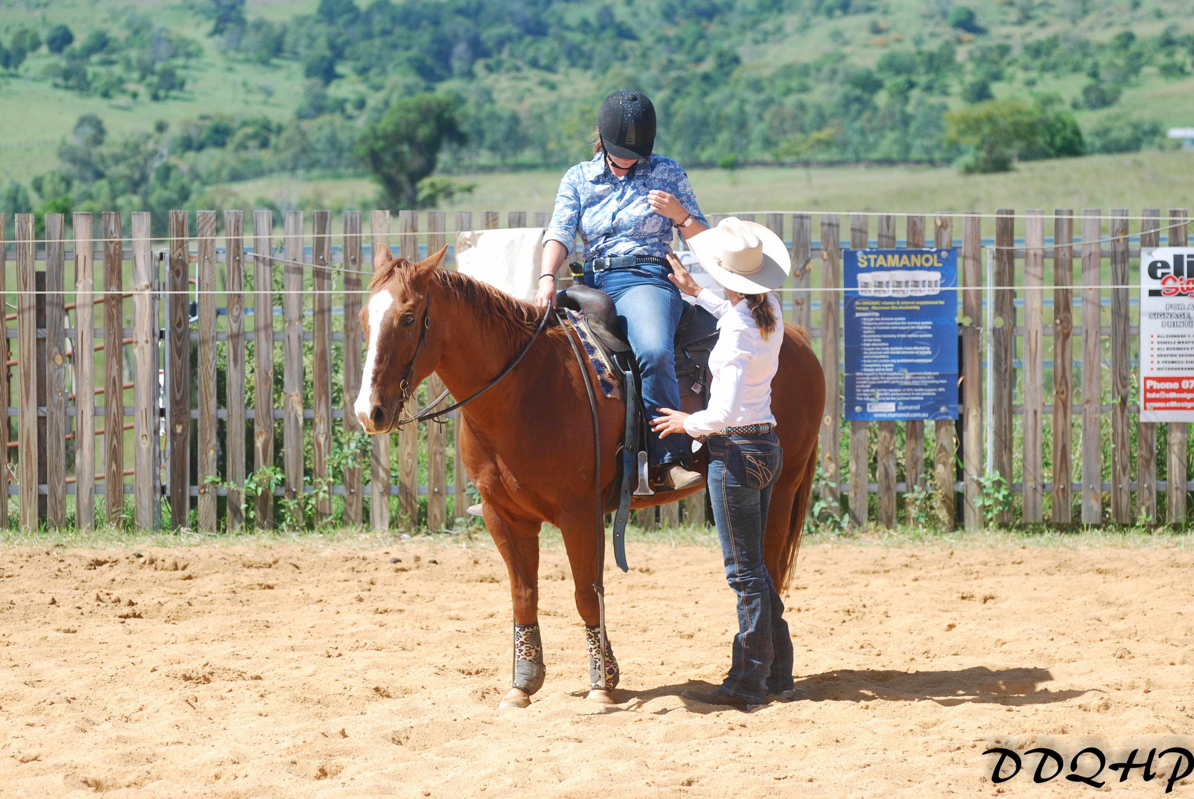 Cutting Horse Trainer Queensland JR Cutting & Performance Horses