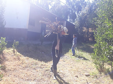 IMG-20190223-WA0034.jpg