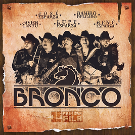 contratacion de Bronco, contrataciones de Bronco, contratar a Bronco, contacto de Bronco, cuanto cobra Bronco