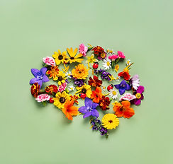 picture of a brain - mental health benefits of decluttering and organising