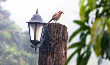 Fotografia Paisagens 5