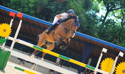 Hipica Campinas