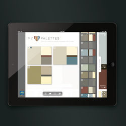 Mastic Color Advisor