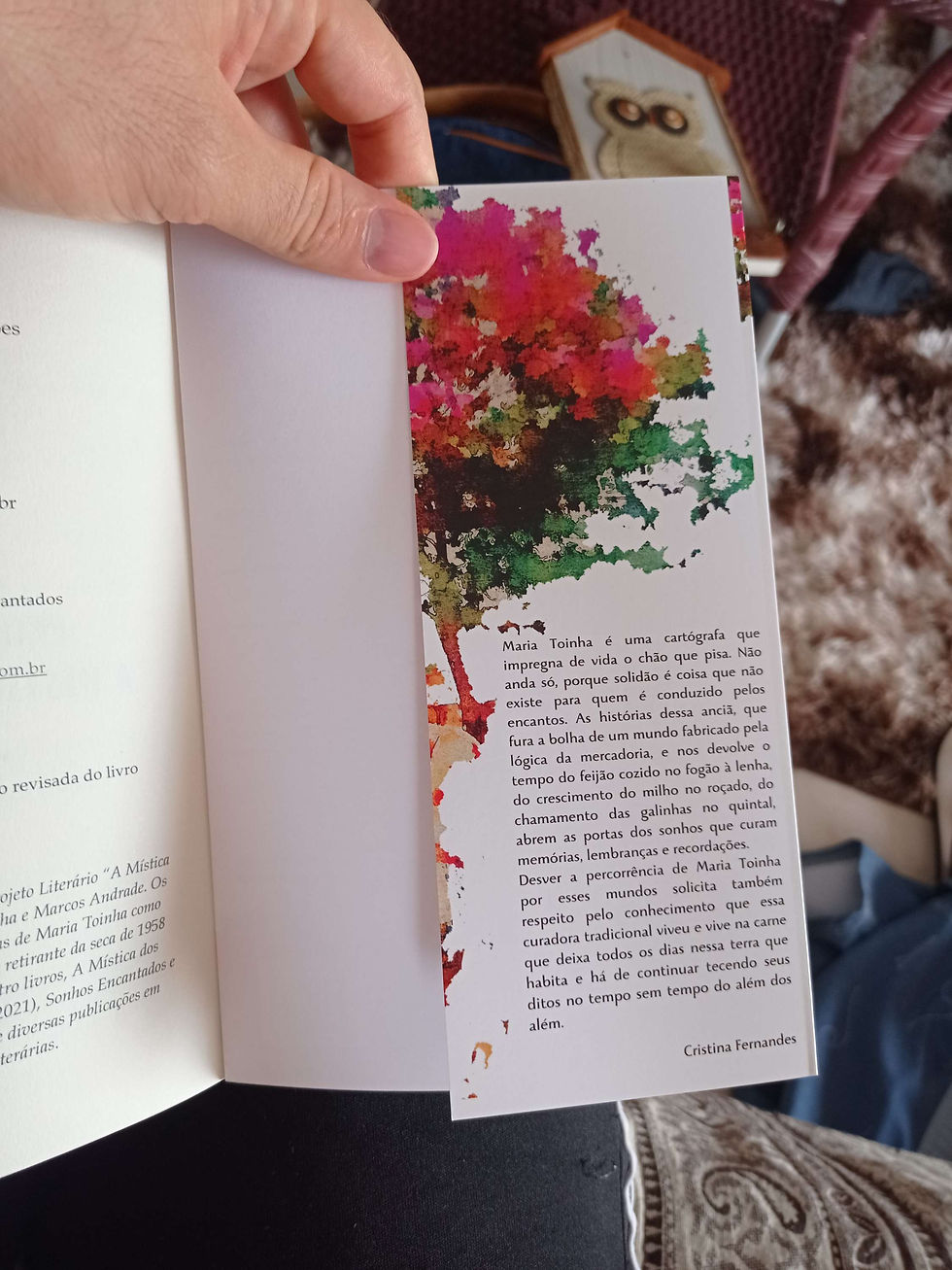 Miniatura: Lavagem Encantada 