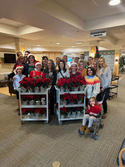 Columbine Commons - Windsor