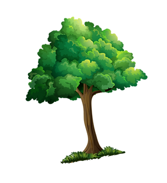 صفحة هبوط الارنب والسلحفاة (6).png