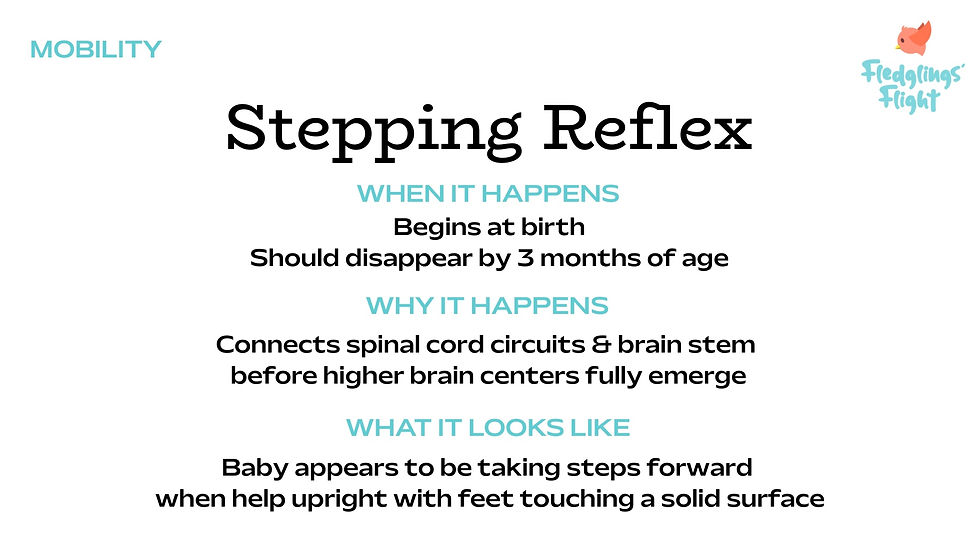 Describes what the Stepping Reflex is.