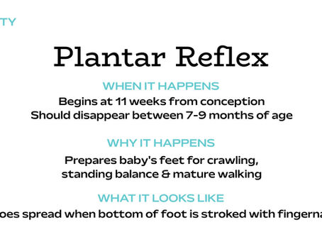 Plantar Reflex description