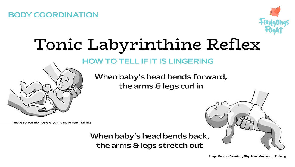 What to do if the Tonic Labyrinthine Reflex lingers