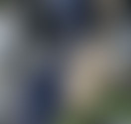 FORD F250 BED MICHIGAN