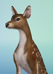 Screenshot 2025-11-02 at 4.05.04 PM.png