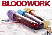 Why Do You Need Blood Work Done At Least Twice A Year?