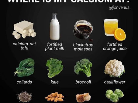 Plant Based Food Posters
