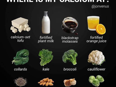 Plant Based Food Posters