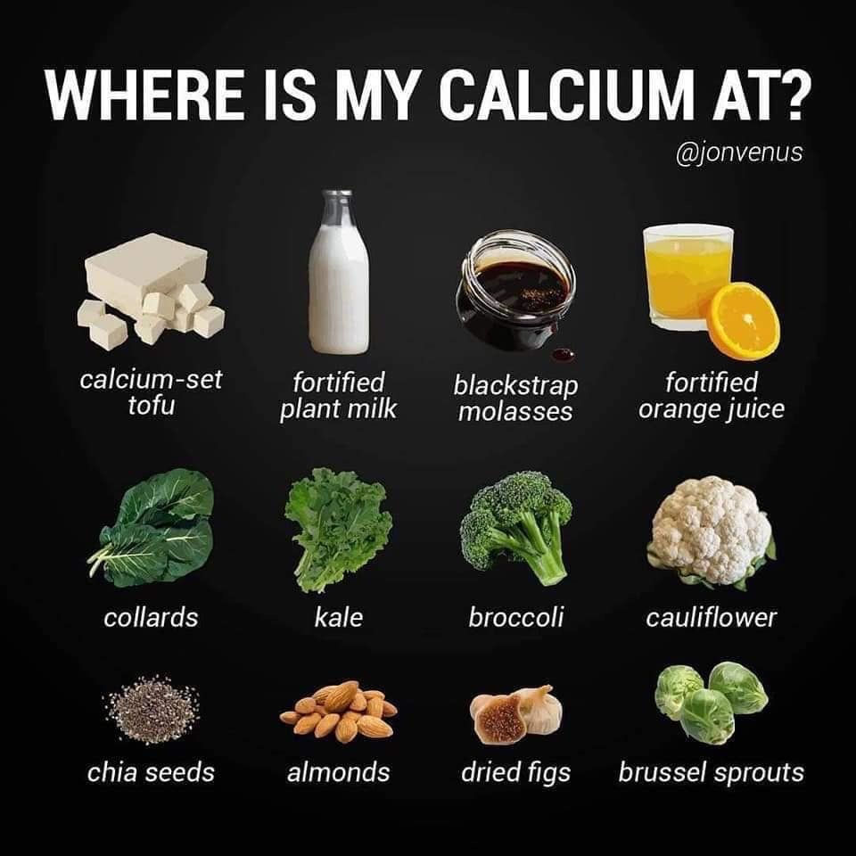 Plant Based Food Posters