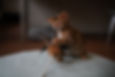 MPO00111.JPG