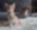 MPO01487_edited.jpg