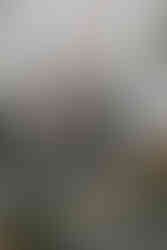 fall vase with fall branches