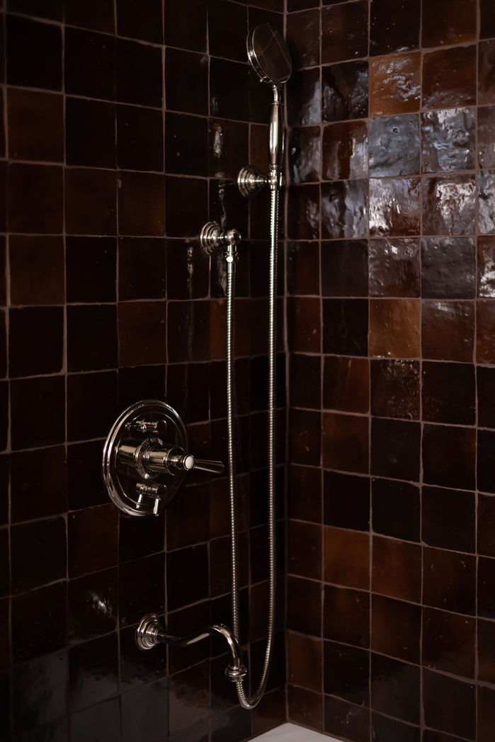 Burgundy zellige tile shower with hand-painted delft border tiles in Garden Home bathroom renovation
