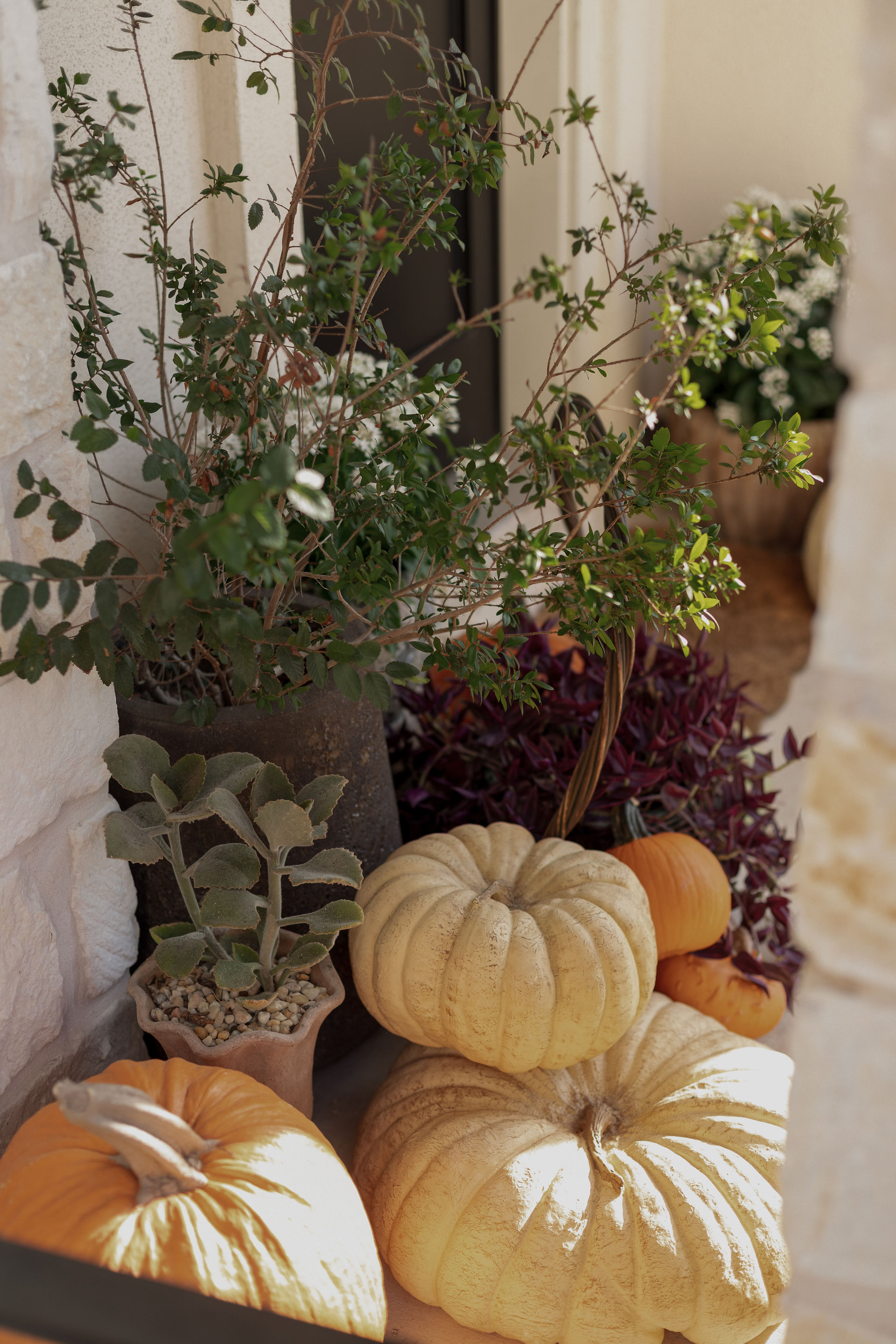 Cozy fall front porch featuring a seasonal wreath, pumpkins, and autumn plants in planters