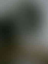 hallway with mirror and holiday decor on console