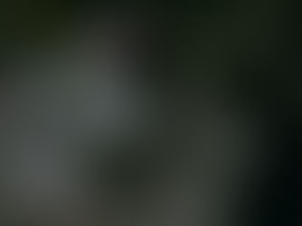 Audrey’s Holiday Decor and Gift Guide