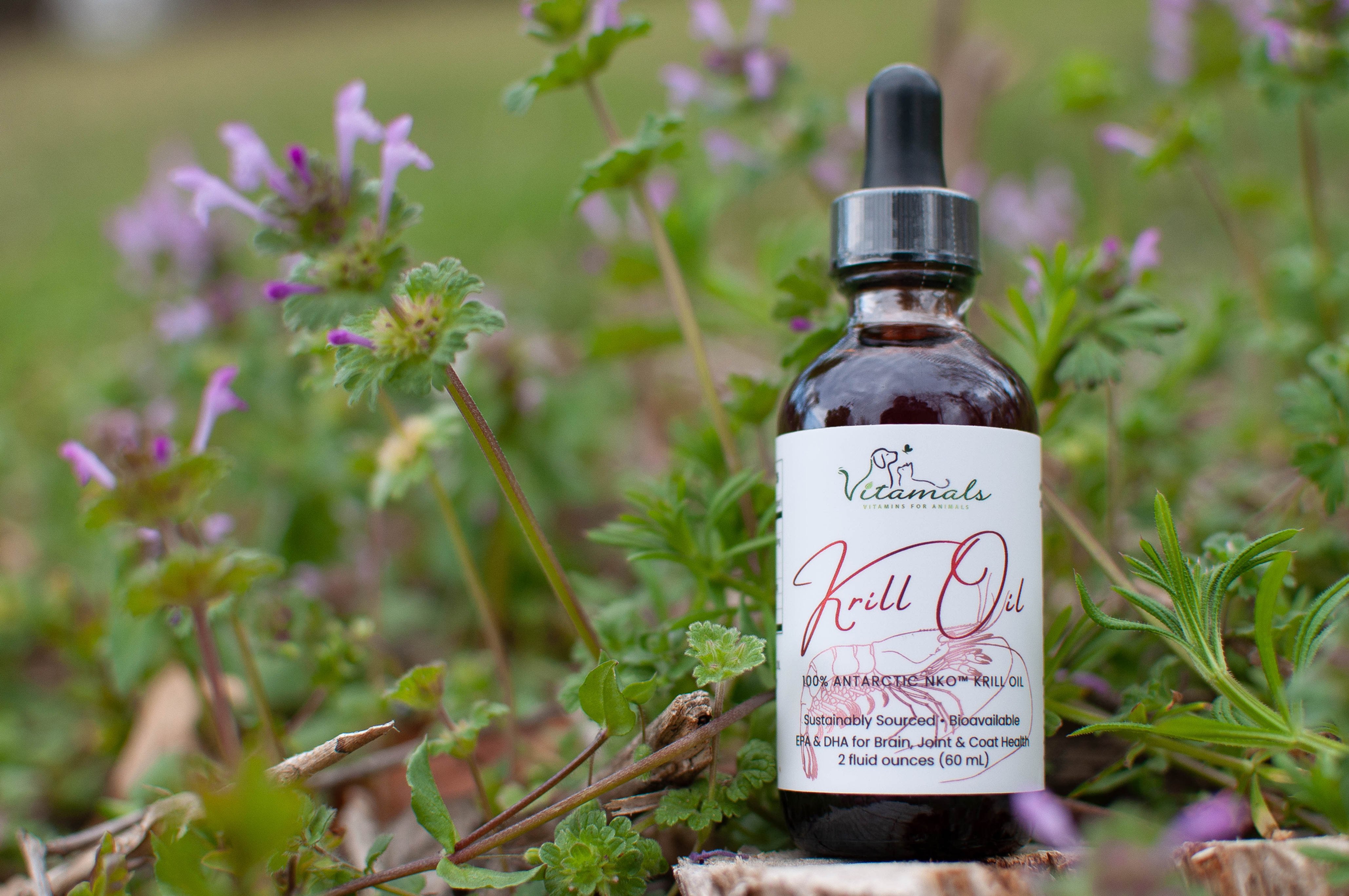 NKO Krill Oil Tincture