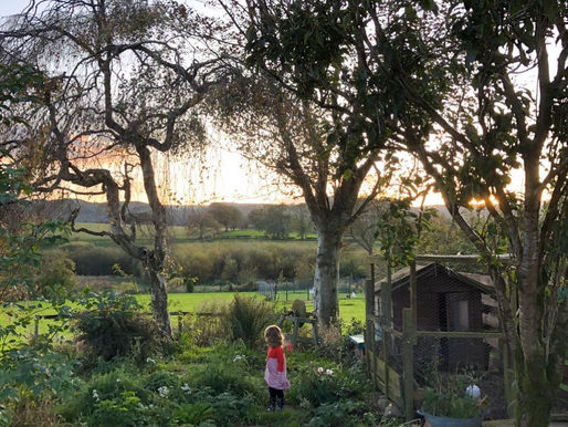 Monoculture to Permaculture