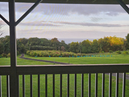 Welcome to our farm!