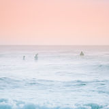 Pink Sea