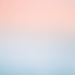 Perspective: 12 in 2000