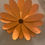 Thumbnail: Tin Flowers
